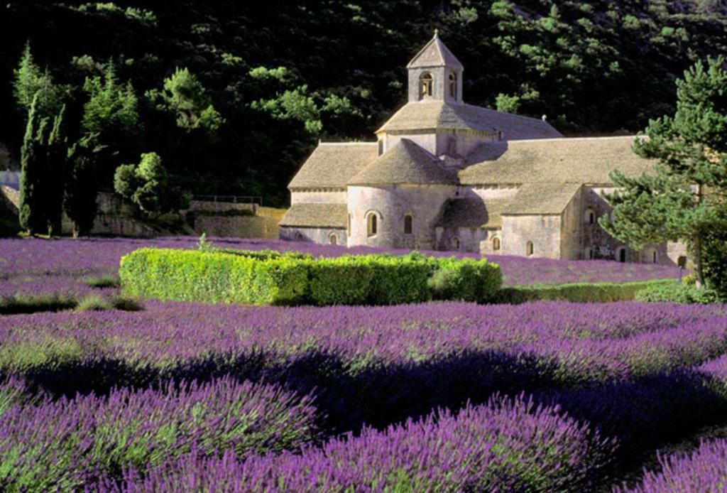 Au Bastidon De Gordes 빌라 외부 사진